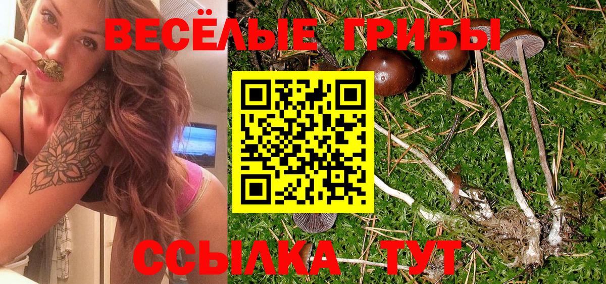 Альметьевск  Галлюциногенные грибы мухоморы  Псилоцибиновые грибы мухоморы  Вход с VPN 
